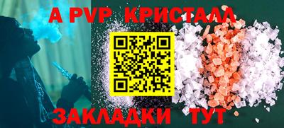 прущие грибы Вязьма