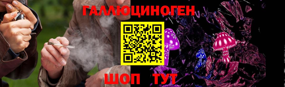 Галлюциногенные грибы Psilocybe Десногорск